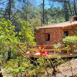 Lodge Des Pachous, Tourves