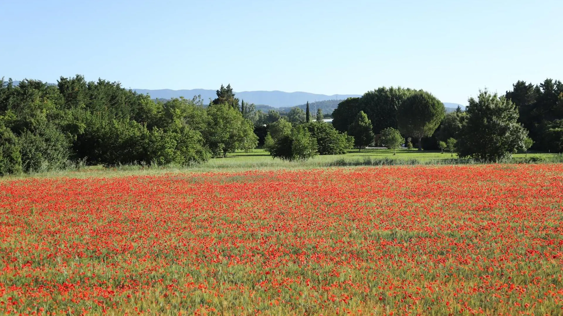 La Bastide Au Coeur De La Provence Apartment Pertuis France